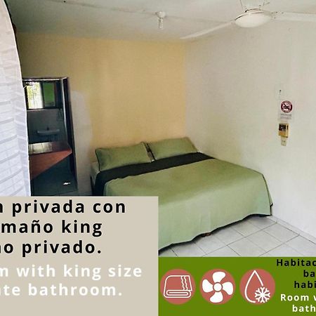 Hostal Pakal King بالينكو المظهر الخارجي الصورة