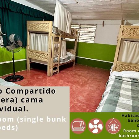 Hostal Pakal King بالينكو المظهر الخارجي الصورة
