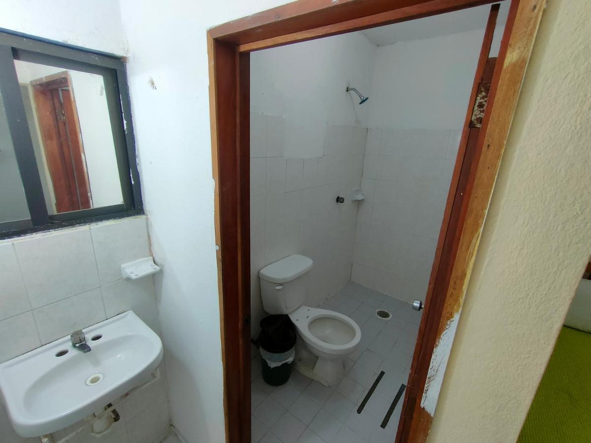Hostal Pakal King بالينكو المظهر الخارجي الصورة