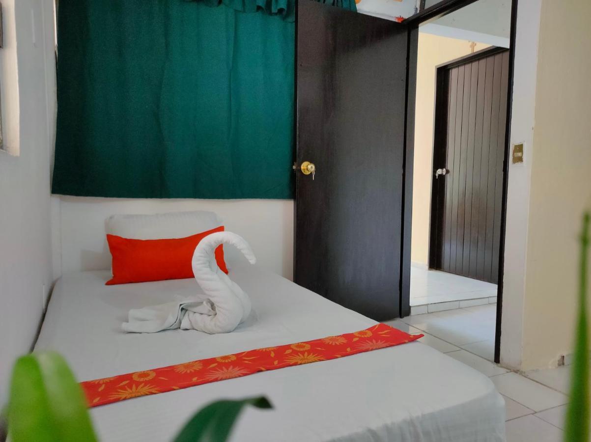 Hostal Pakal King بالينكو المظهر الخارجي الصورة
