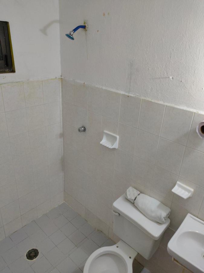 Hostal Pakal King بالينكو المظهر الخارجي الصورة