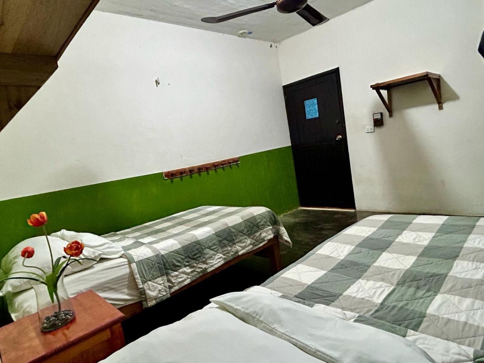 Hostal Pakal King بالينكو المظهر الخارجي الصورة