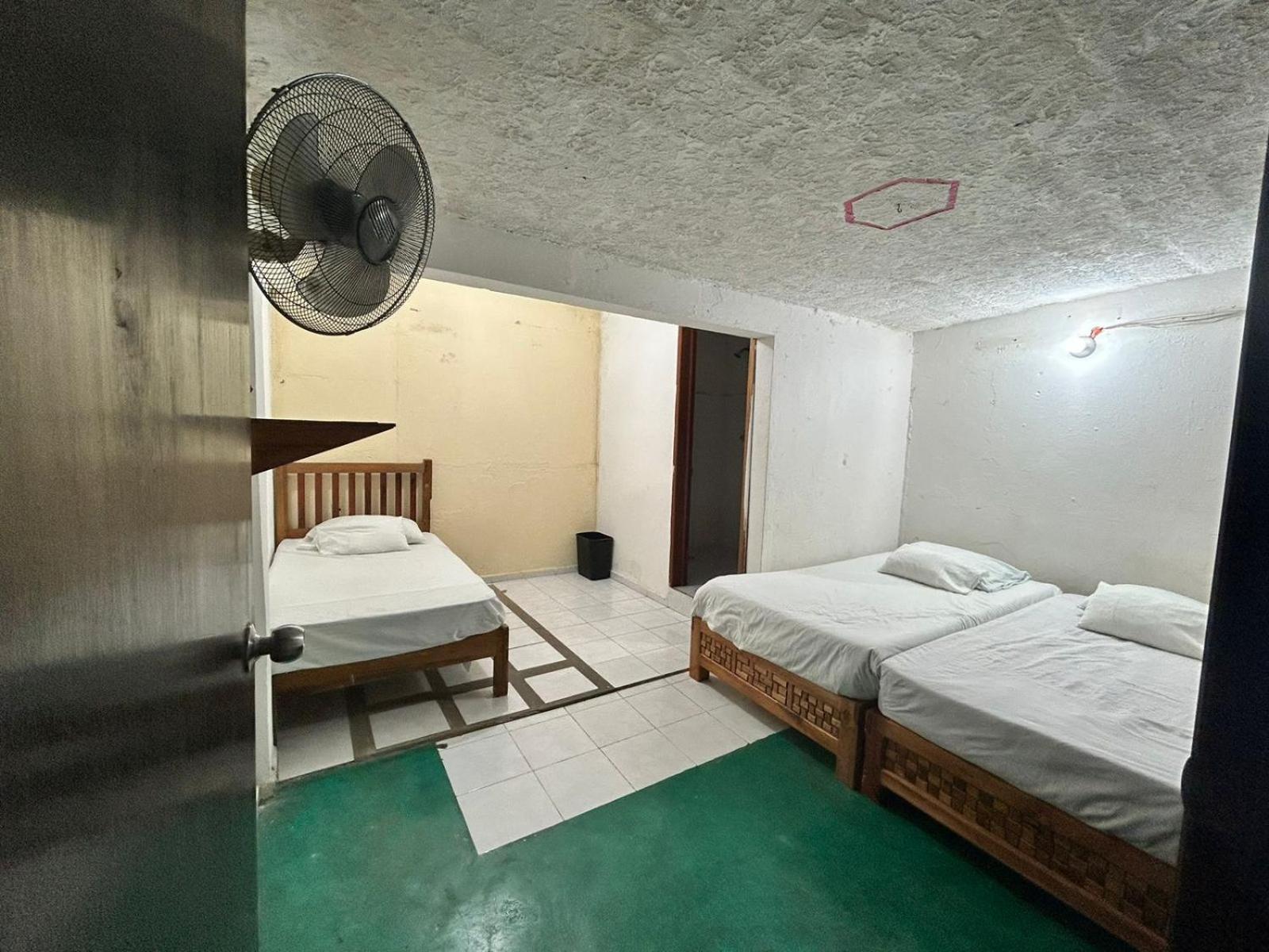 Hostal Pakal King بالينكو المظهر الخارجي الصورة