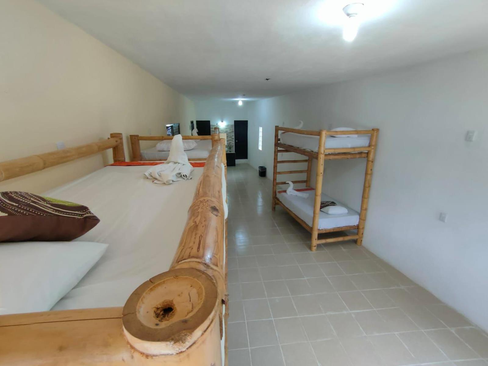 Hostal Pakal King بالينكو المظهر الخارجي الصورة