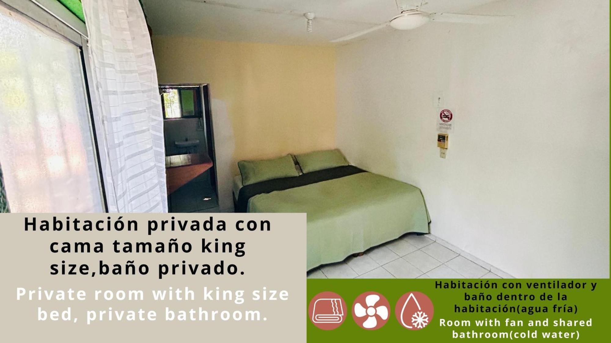 Hostal Pakal King بالينكو المظهر الخارجي الصورة