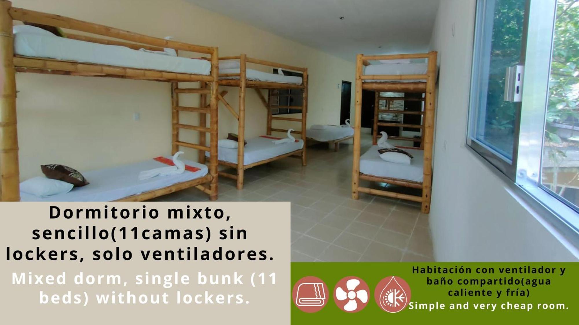 Hostal Pakal King بالينكو المظهر الخارجي الصورة